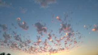 Belinda Allen from Njevity, Inc. shares information on Microsoft Dynamics GP.