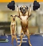 During a GPUG (Microsoft Dynamics GP User Group) training class, a student shared that their biggest issue was in not receiving an error message when there is a posting account missing. 