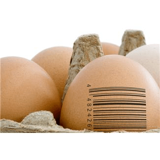 eggwithbarcode-resized-600