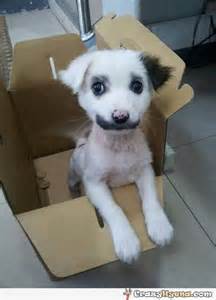 If you use Microsoft Dynamics GP and have ever wanted to easier way to monitor open purchase orders and line items that have been received and not invoiced, you’re in luck.